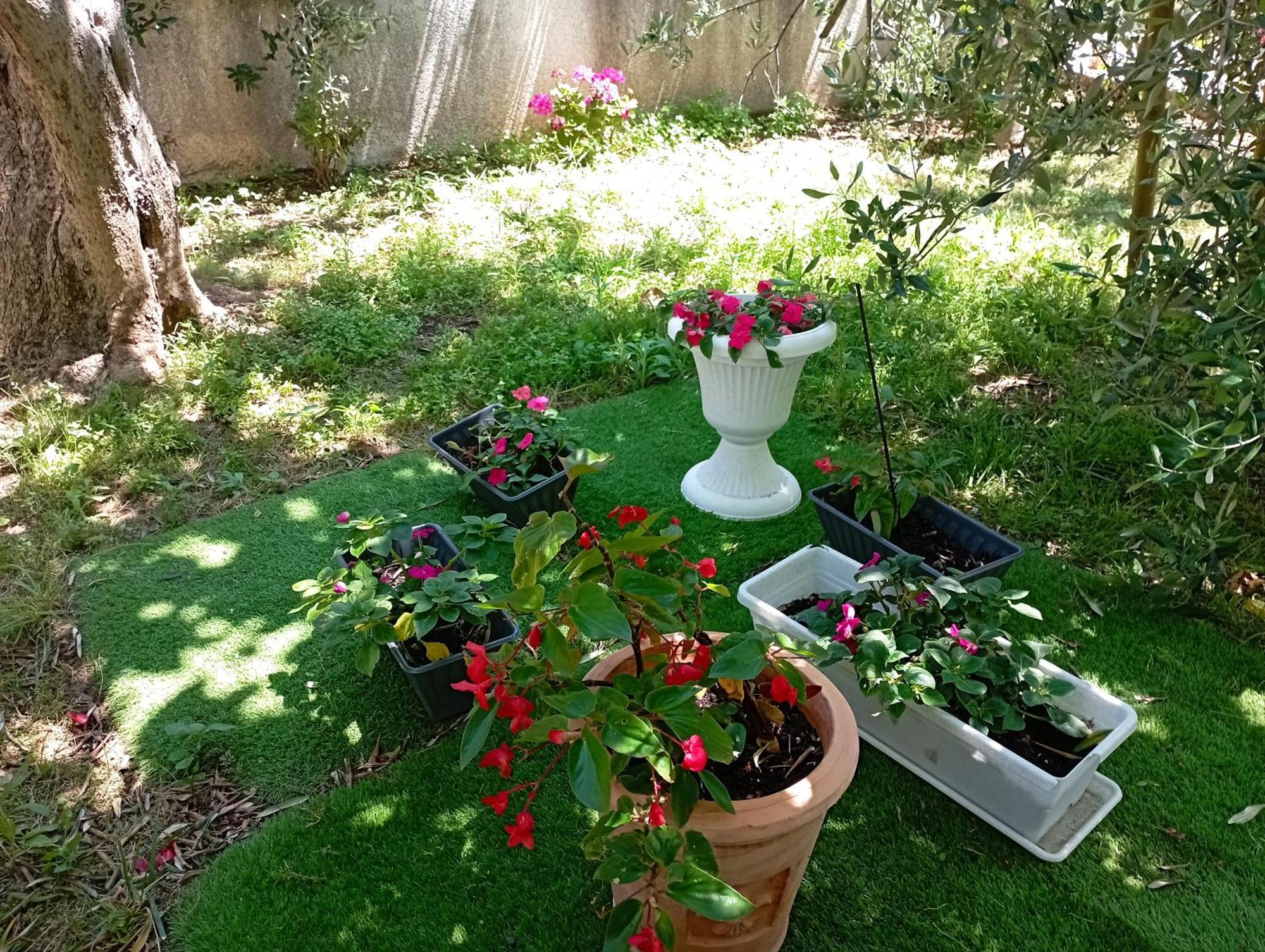 Apartmani Trubi 3 Vodice Eksteriør billede